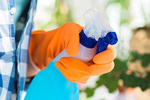 Cleaning in Sittingbourne, Kent. Commercial and domestic cleaning. End of Tenancy Cleans, After Build Cleans, Waste Management, Oven Cleans, Carpet and Upholstery Cleaning. Call us for a FREE quote.